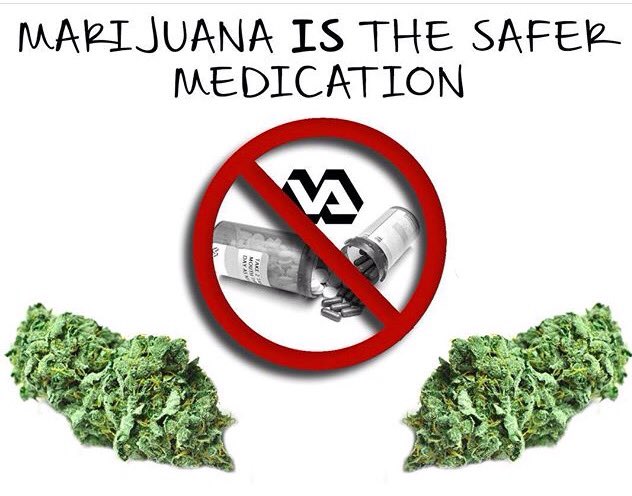 ❌ more 💊s 

#WFWP #WFWPNY #Stop22ADay #SempreHigh #Vets4Cannabis #Vets4Wellness #FuckPTSD #VetStoner #Medicate #VetSmoker #meds4vets