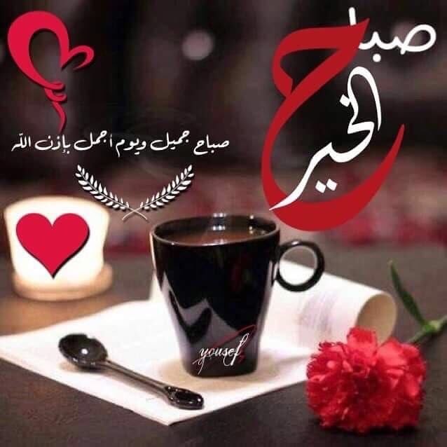 afra71000's tweet photo. #صباح_الورد https://t.co/f3feU78FSW