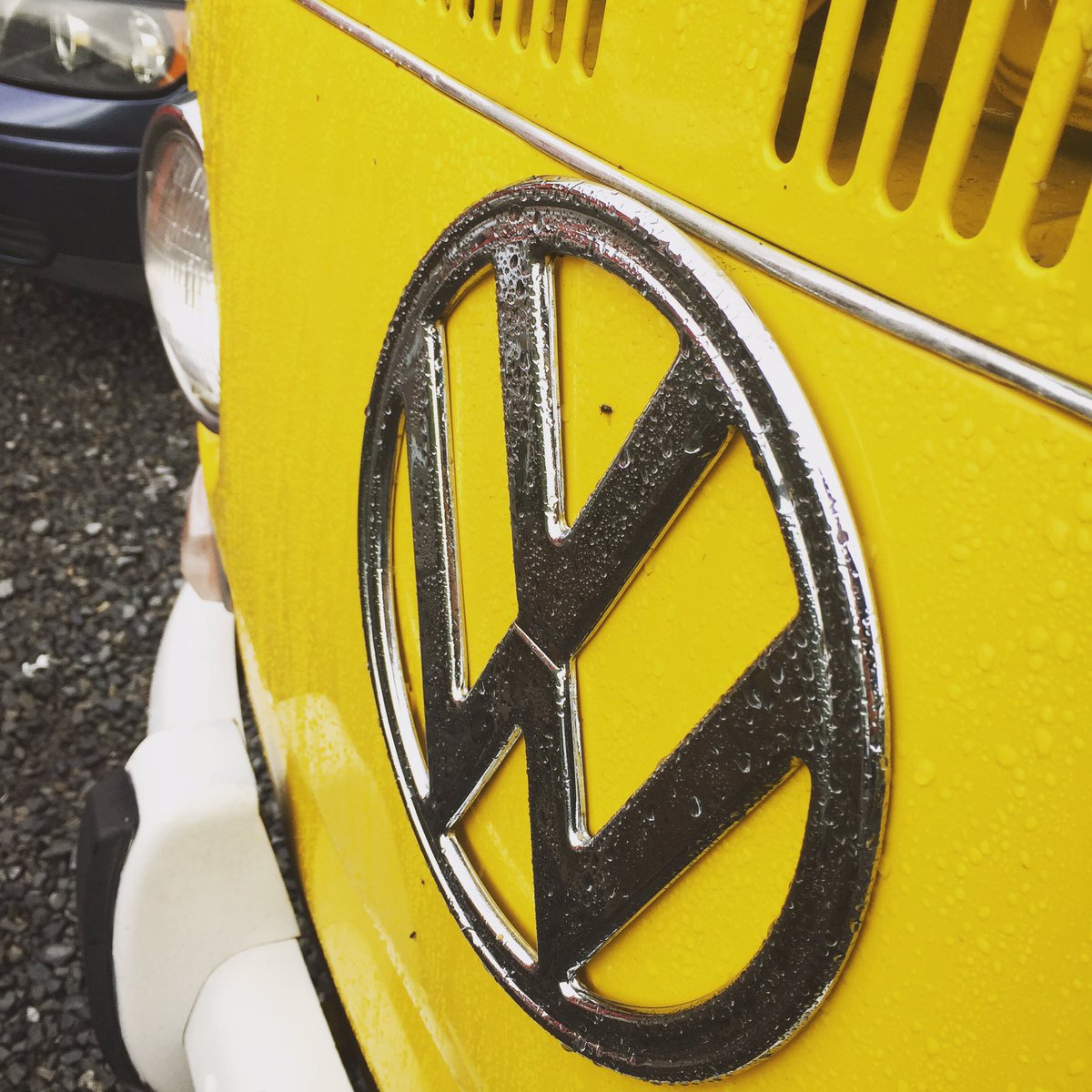 Vantigosf's tweet photo. Rain days and VW Bays :) ๐ฆ#Vantigo #vw #vanlife #kombi #vwbus #millvalley #buslife #muirwoods #sf #tourism https://t.co/GoR83DT6ah