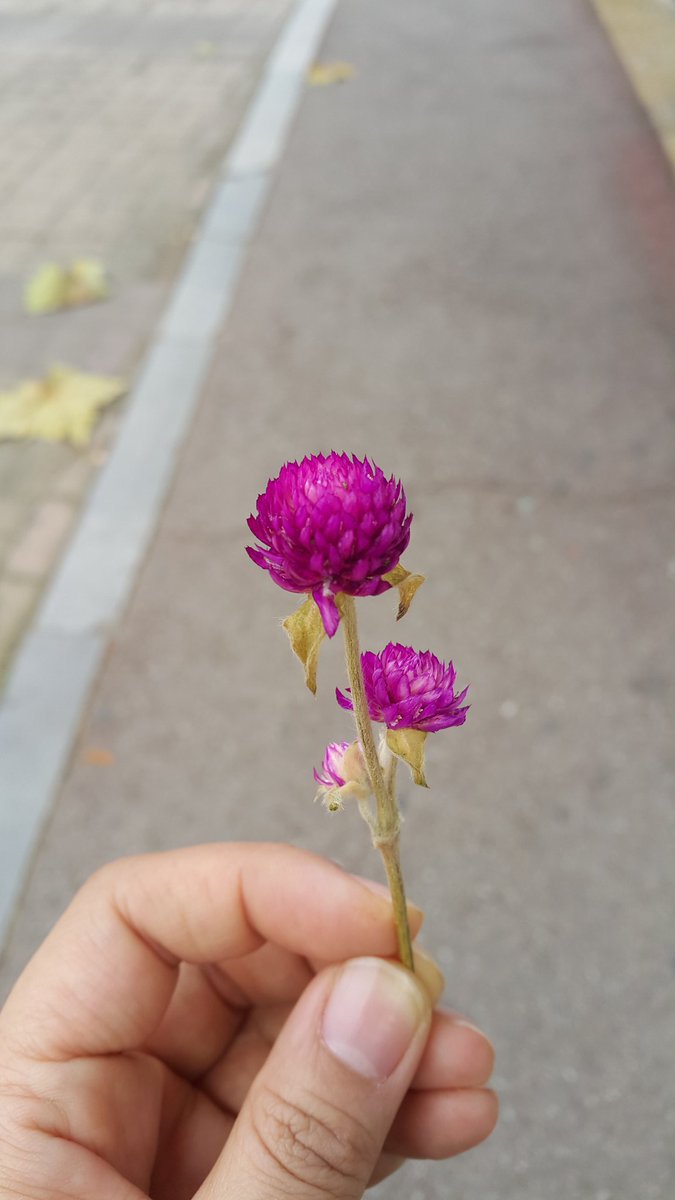 clapad4's tweet photo. "@greenmine4u: https://t.co/wsQH0ihayB" ... ❤ ;)