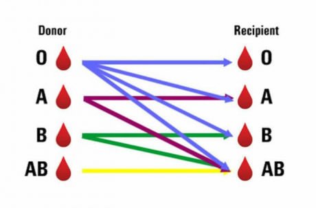Lila Lester tweet media