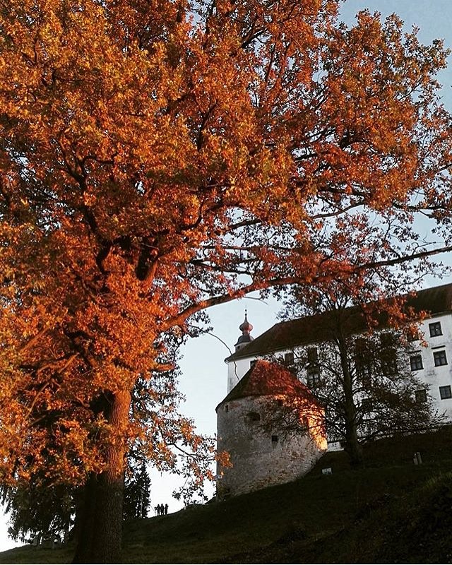 Autumn colours of #Ptuj 🍂🏰 instagram.com/p/BMga0Y8j9u6/…