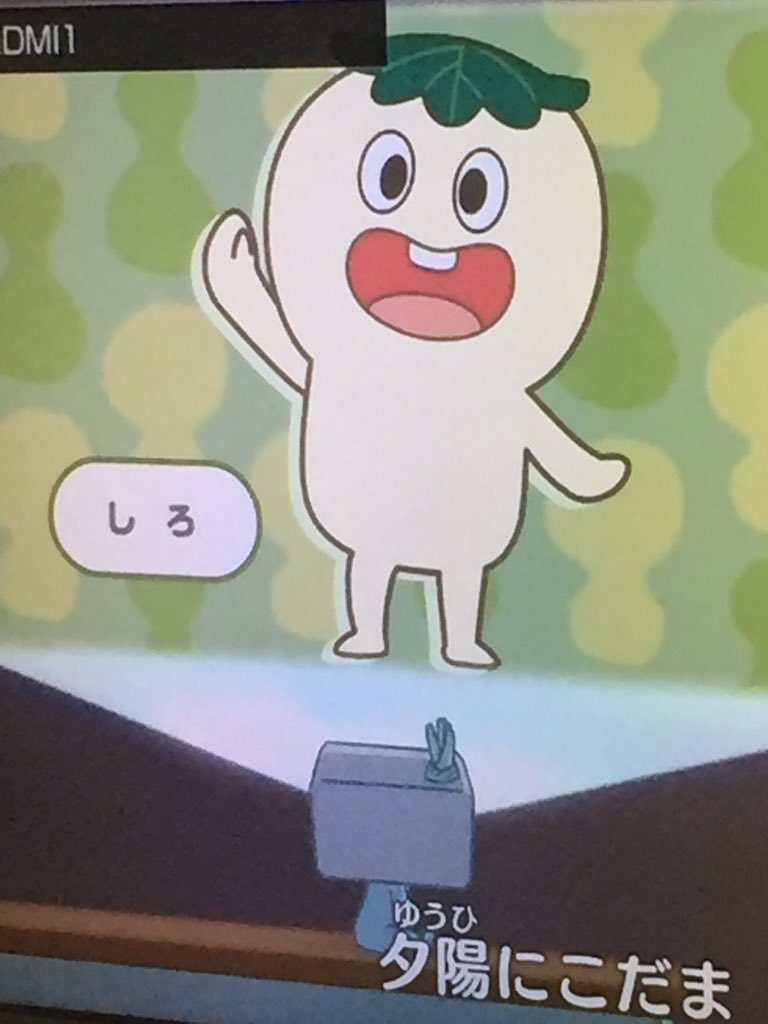マッきゅん Mrrŧ ŧ בטוויטר どちゃもんジュニア見てたんだけど しろはモチなんだけどさ たいこモチ愛でてる方には しろも色々と可愛がりたいのかな モチ系の妖怪だし でもしろはどちゃもんか