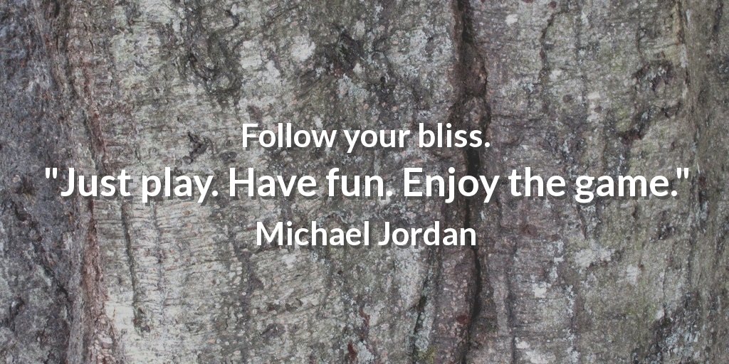 ZingerWebDesign's tweet image. Follow your bliss.  &quot;Just play. Have fun. Enjoy the game.&quot; Michael Jordan #webdesignhamilton