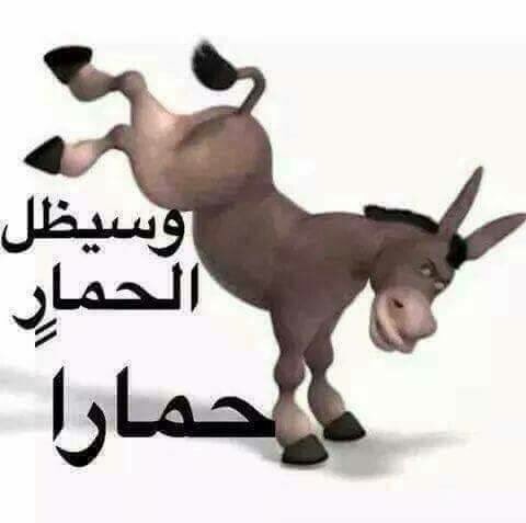666_nabel's tweet photo. كيف تريدون العرة والكرامه وانتم تحاسبون الدولة على كل قرش يصرف في حماية الوطن. https://t.co/XLJoYiJYxj
