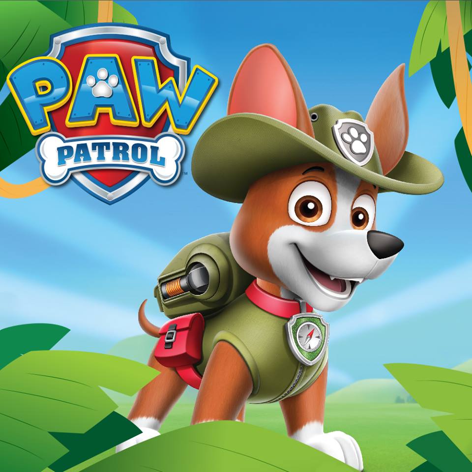 jfmorganitzacio's tweet photo. Ya disponemos en nuestras oficinas del nuevo perrito de la ''Patrulla Canina'' llamado TRACKER!
+info: https://t.co/f0SC4omhmZ https://t.co/HqeElxFl02