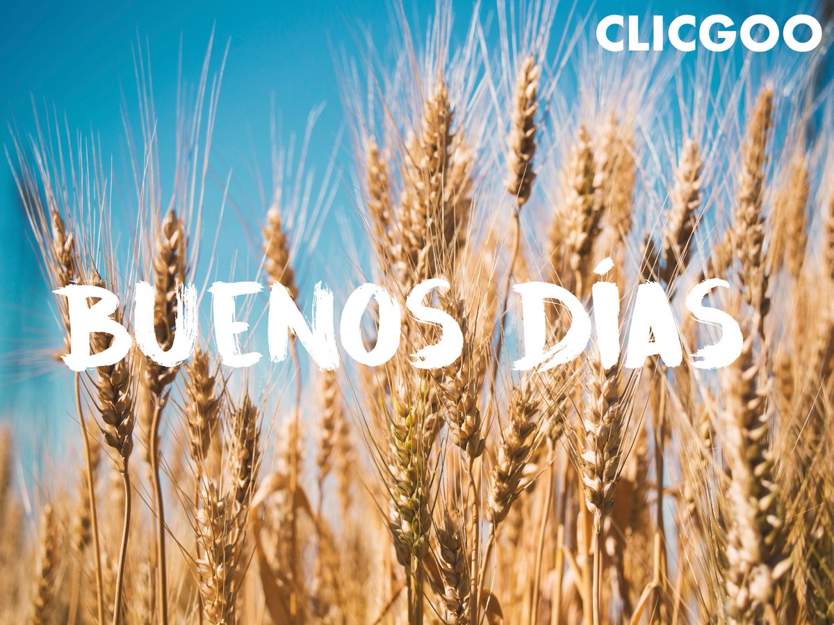 CLICGOO's tweet photo. #Buenosdias Feliz y positivo INICIO de SEMANA. Si TÚ le SONRÍES a la VIDA, la VIDA te SONREIRÁ a TÍ. https://t.co/zxmXfZlUFb https://t.co/TsTvvbuNNN