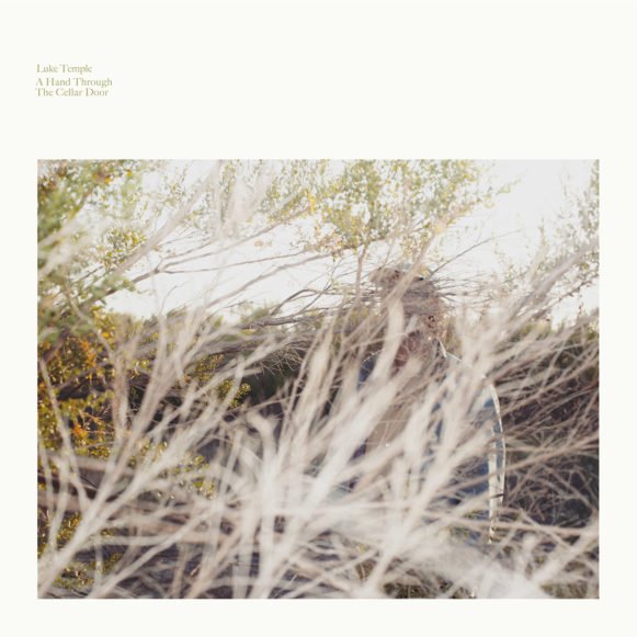 BBC6Music's tweet photo. #NowPlaying @LukeTempleMusic 'The Birds Of Late December' probably the loveliest thing about at the moment https://t.co/rIjH2oEumJ
