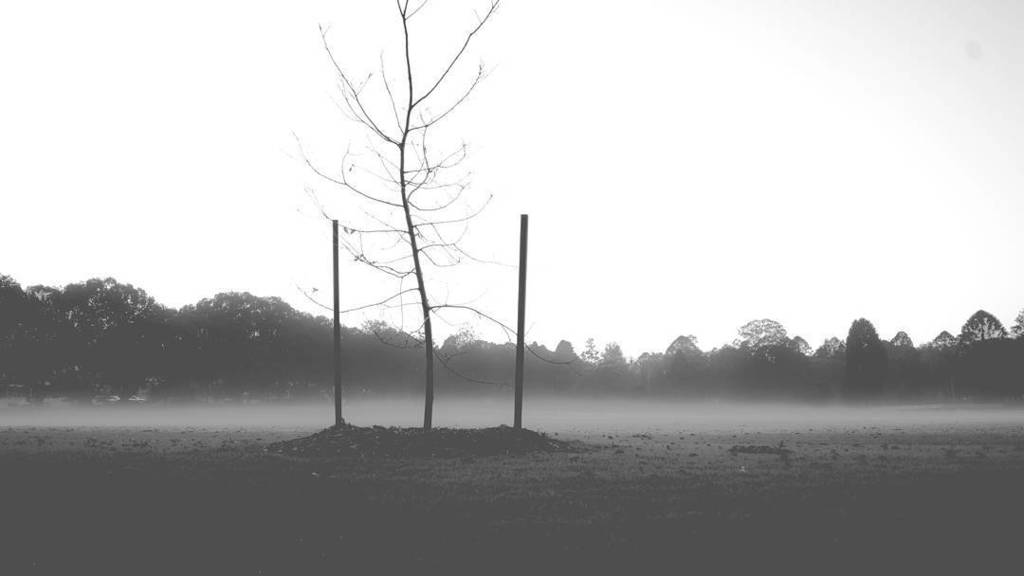dnexplore's tweet photo. July #toowoomba mornings https://t.co/T3GOaUepxN https://t.co/PWUkfqbT7d