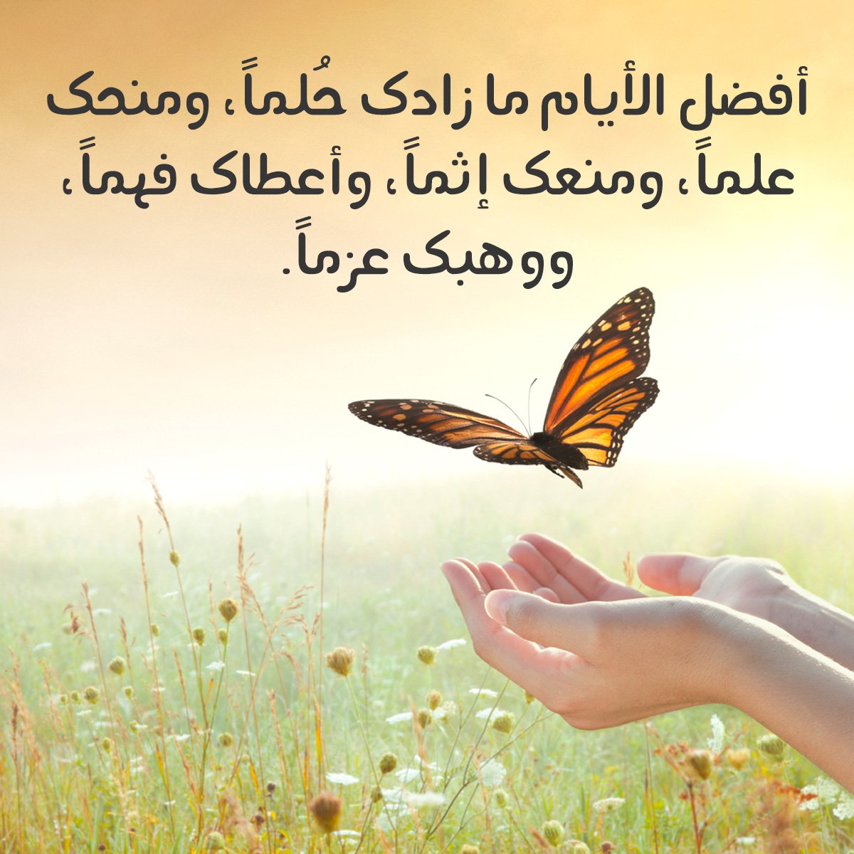 NUSRV's tweet photo. #حكمة_الإثنين #يسعد_صباحكم https://t.co/NPRK1VtOvB