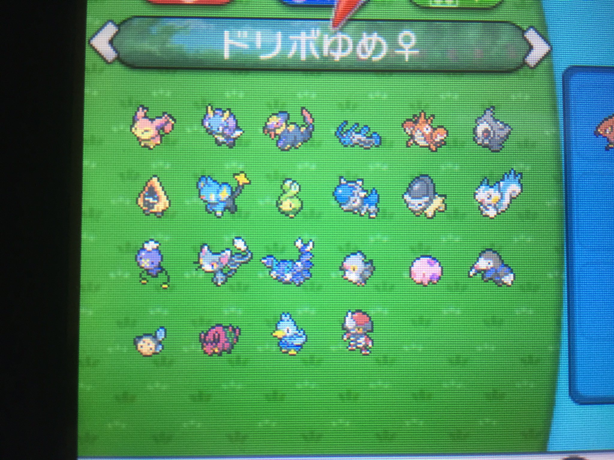 ふっしー 求 画像 イーブイ以外のドリボ夢 夢特性がいないドリボ 含む 出 ドリボ夢 イーブイ 改造 販売 コピーは受け付けません 必ず自己産でお願いします ポケモン交換 ポケモントレード ポケモン ポケモンoras ポケモンxy ドリボ