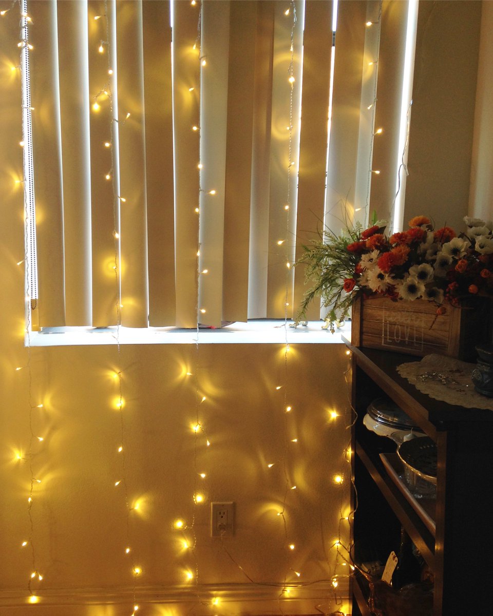_MKMarin's tweet photo. #wolfwise #wolfwisestore Leapair Curtain Lights-available to purchase @wolfwisestore instagram & amazon https://t.co/YZ15zq8Suo https://t.co/xYmqaeepi0