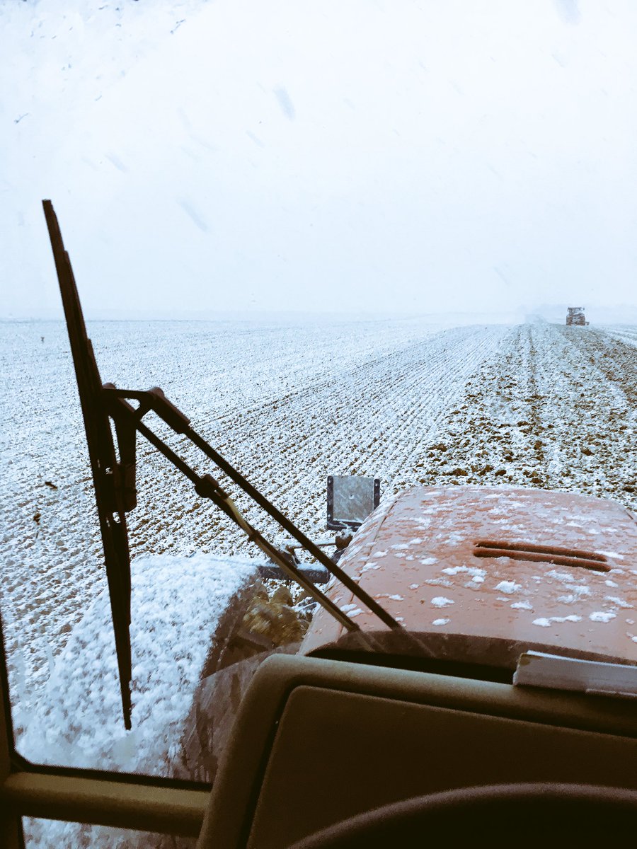 FarmerDjo's tweet photo. L'hiver commence tôt :) #neige #semis2016 https://t.co/3FGiX0zh1K