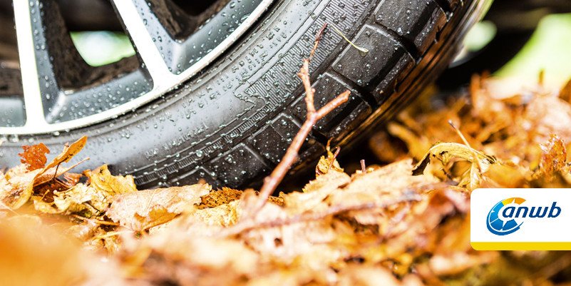 ANWB's tweet image. We zitten alweer midden in de herfst. Als de temperaturen onder de 7℃ komen, tijd voor winterbanden anwb.nl/auto/themas/wi…