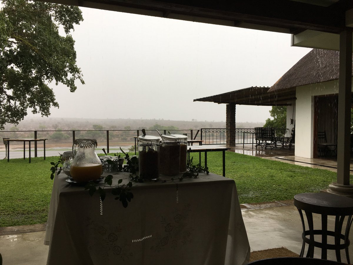 BuhalaLodge's tweet photo. We are welcoming this rain!
Soon everything will be blossoming again!
#rain #buhala #knp #KrugerPark #nature #summer #green #Malelane #happy https://t.co/G8MhMaaMri