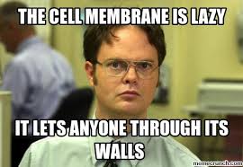 Cyto_Skeleton17's tweet photo. Cell membrane let's in viruses and diseases!!! https://t.co/QGRUixV4EV
