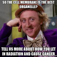 Cyto_Skeleton17's tweet photo. To Cell Membrane!! https://t.co/NKiz3f4bgT