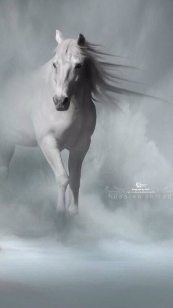 نكتم شعور قلوبنا من حيا الروح
دام الأماني بالمحاني كثيره
أحيان نطيرها على البال وتروح
واحيان تغطي بالخفوق وتثيره (١)