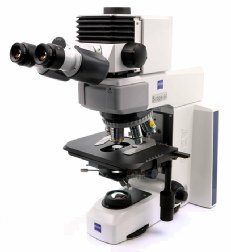 MicropixUK's tweet photo. #micropix supply a range of #upright #microscopes from manufacturers such as #Olympus #Zeiss #Nikon. #microscopy  https://t.co/FFaX8GpsS4 https://t.co/93AtcGsl6V