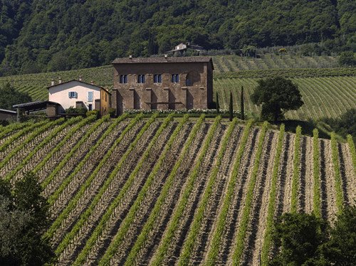 OrvietoDOC's tweet photo. I vigneti dell'azienda #Palazzone esposti a nord-est producono vini longevi e con spiccata mineralità. @winepalazzone #iloveorvietodoc https://t.co/jUNEx1mCBs