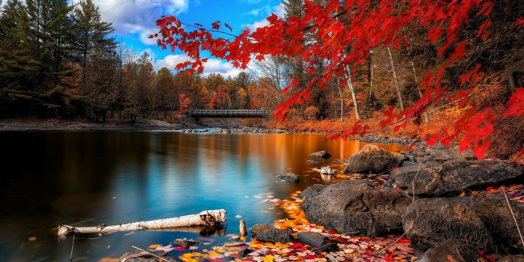 Ima nečega neodoljivog u jesenskom krajoliku 😍
#AutumnLeaves #orange #nature #river #MondayFunday #WONDERLUST #travelphotos #november #art