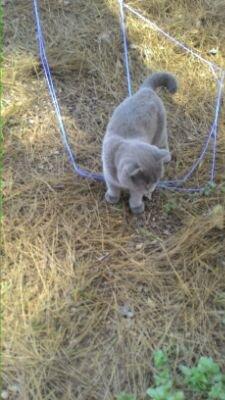 Come hangout with me on #BIGOLIVE. web.live.bigo.sg/-2137494511_14…