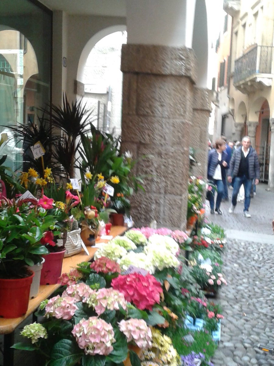 eventicuriosita's tweet photo. Iniziamo la giornata con i colori del #ghetto di #Padova, sapevate che i primi insediamenti ebraici a Padova risalgono al secolo XII https://t.co/Ael7yedNiC
