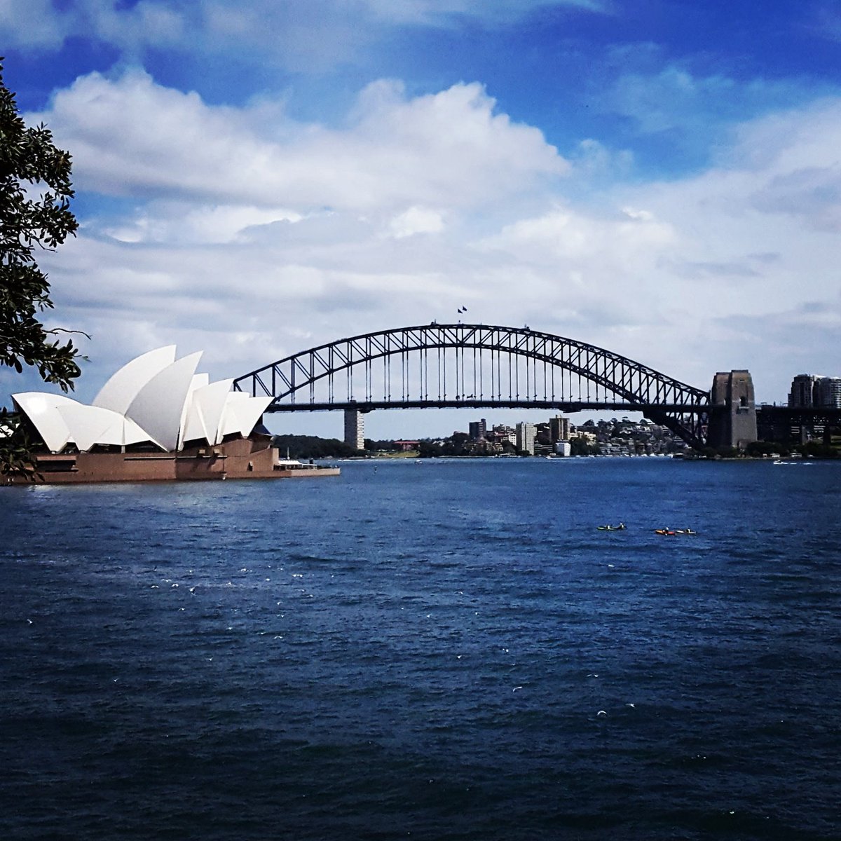 AmandaDyerTim's tweet photo. #tripofalifetime thanks to @TimminsChamber and @AirCanada!  #Australia2016 https://t.co/EmlgoB3vUX