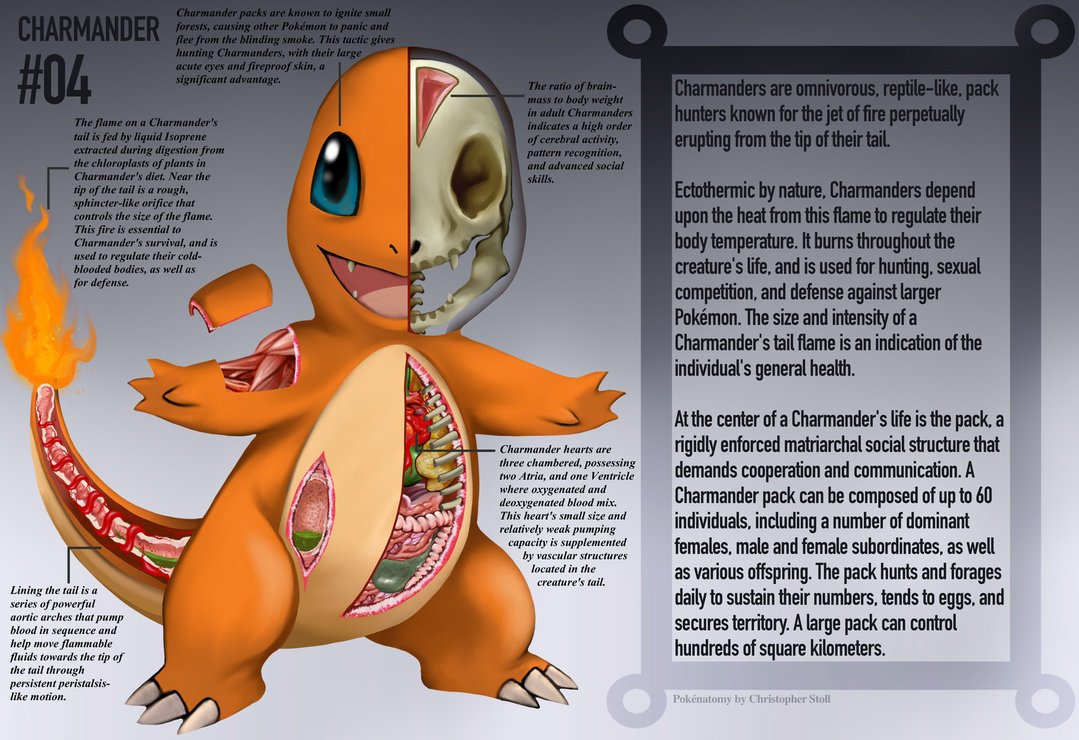 GAME España on X: La enciclopedia de la Anatomía Pokémon: ¿cómo son los  Pokémon por dentro y de dónde vienen sus habilidades?    / X