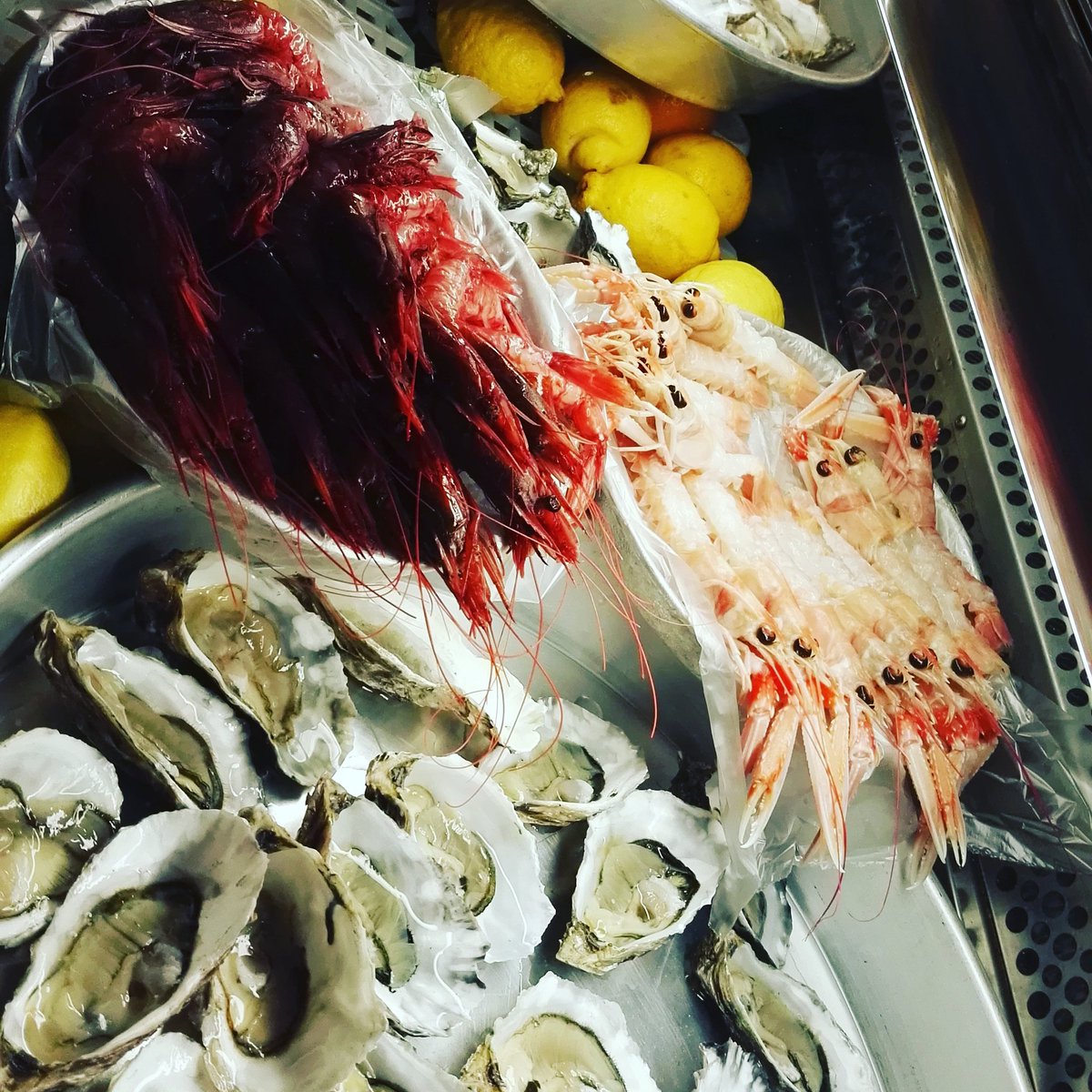 Brest_oyster's tweet photo. Brest Verona. #ostriche #oysters #GamberoRosso #restaurant #foodporn #champagne #fieracavalli #visitverona #wine #champagne #foodporn https://t.co/OEu7OuLDW0