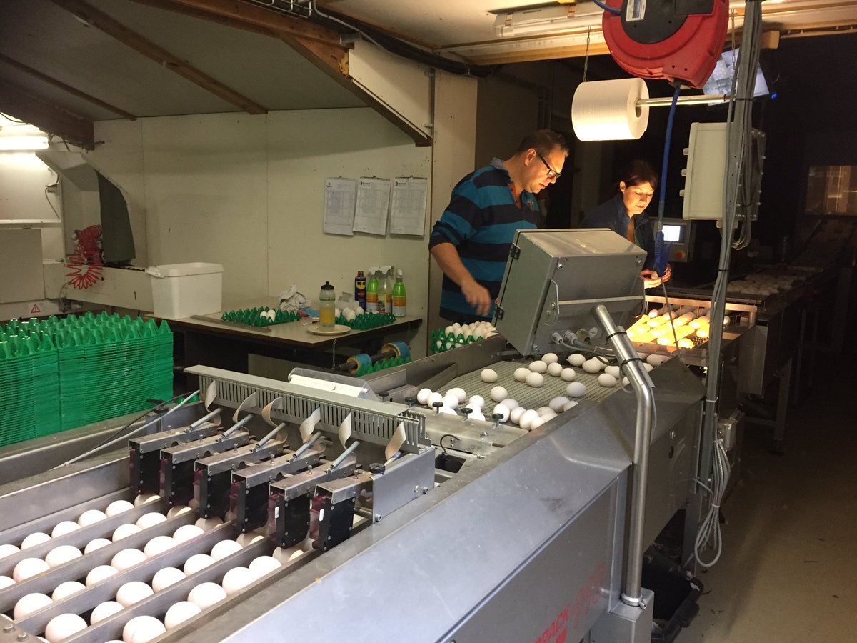 PrinzenBV's tweet image. Hans, een van de @PrinzenBV sales engineers, draait dagje mee op een van de mooiste bedrijven in de achterhoek @GussinkloPluimv @mmmEggies