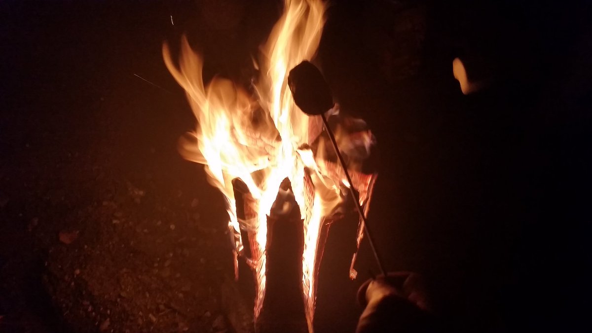 With fireworks night gone are we on to #Christmas now?