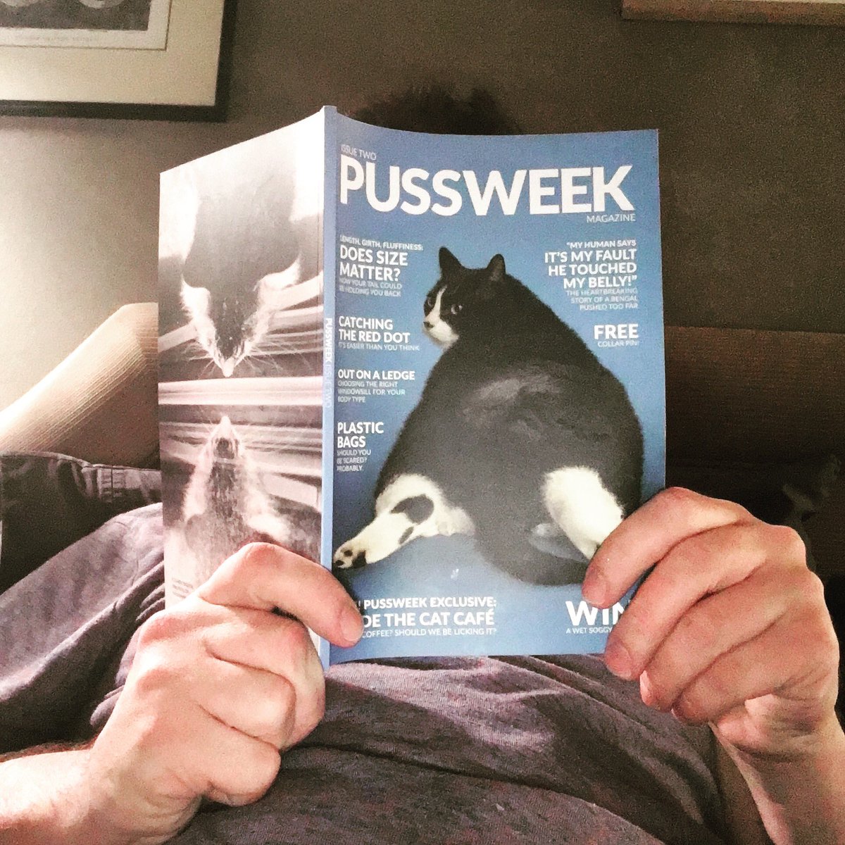 Evolkween's tweet photo. Catching up on the latest issue - thanks @cloudcontrol ! #pussweek https://t.co/hhs2zsmcd2