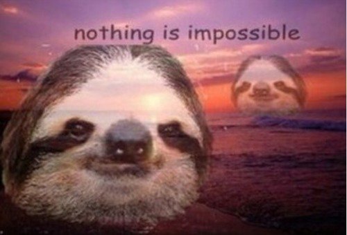 SlothSlavMC's tweet photo. Here's some Monday motivation for you, Wake up and do something productive #MiserableMondays #Sloth #Meme https://t.co/10RMysemjF