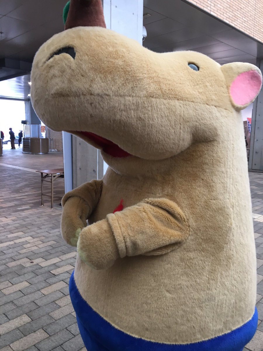 ぼんサイくんを育てる会 Bonsaikun8 Twitter ぼんサイくんを育てる会 Bonsaikun8 Twitter