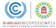 ICLEI carbonn Climate Center tweet media