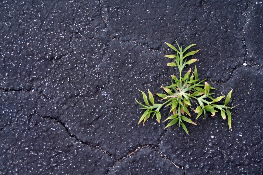 PeopleDevelop1's tweet photo. Change is Good, but Growth is Better      By @BishopCoaching #Leadership https://t.co/oTI7bJnON0 https://t.co/R0VJzjRWeR