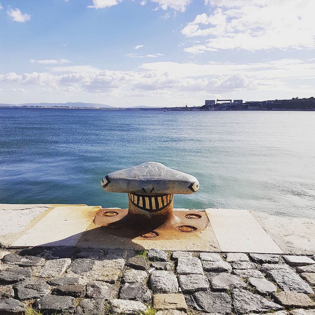 sandrastaub_de's tweet image. Da lacht das Herz. Sonnenschein. Spaziergang am Tejo. 
Makes hearts smile. Sunshine. A walk at river Tejo.

#websum…