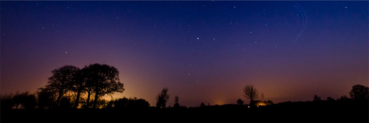 sparklinlayout tweet picture