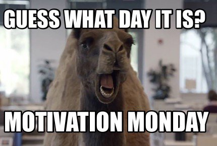 AEG_Intl's tweet image. This one always cracks us up.... #mondaymotivation #guesswhatdayitis