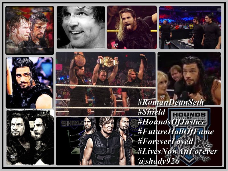 Shady926's tweet photo. #November2012 Life in the WWE Changed..they talk #NewEra that #NewEra arrived 4 years ago #BlindorWontAdmit #ShieldBoys #MadeTheDifference https://t.co/9KBWIlbPPN