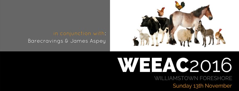yarn22's tweet photo. #WEEAC @WEEACEvent Williamstown #MELBOURNE @SoldOutGeelong @Audemia1 @musikcube947FM Sun Nov 13th Midday - 8PM @947thepulse https://t.co/5mRfqEHdDv