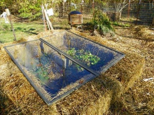 A COLD FRAME TO EXTEND YOUR FALL GARDEN  facebook.com/theseedguy  #gardenchat #seeds #preppers