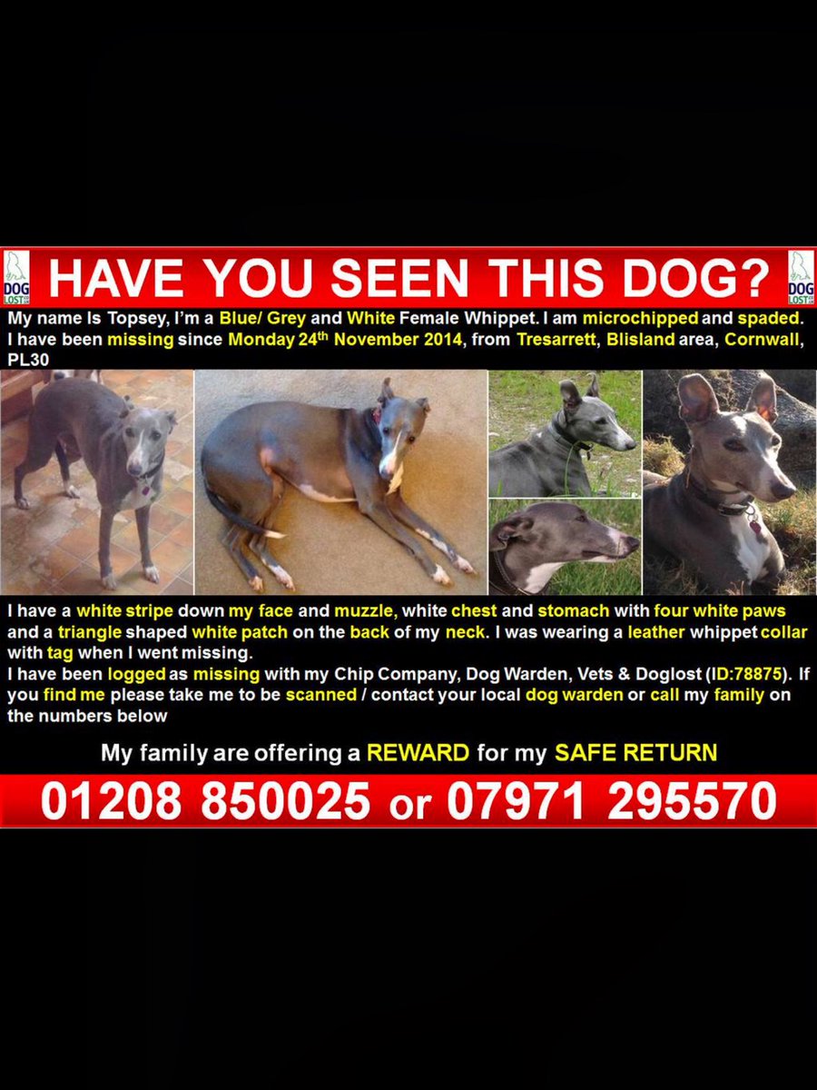 . <a href="/FindTopesy/">Find Topesy</a> 💕