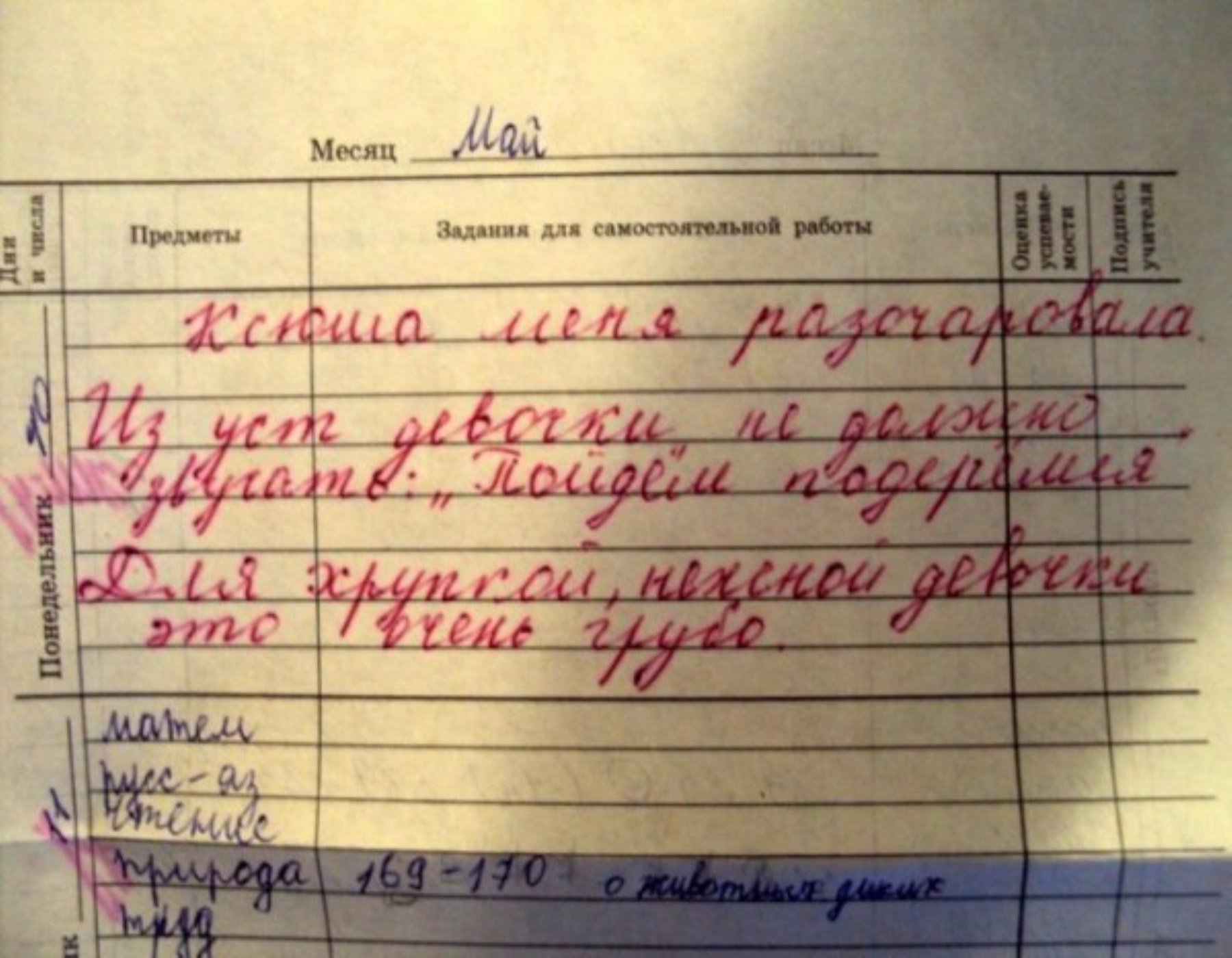 Смешные записи в дневниках