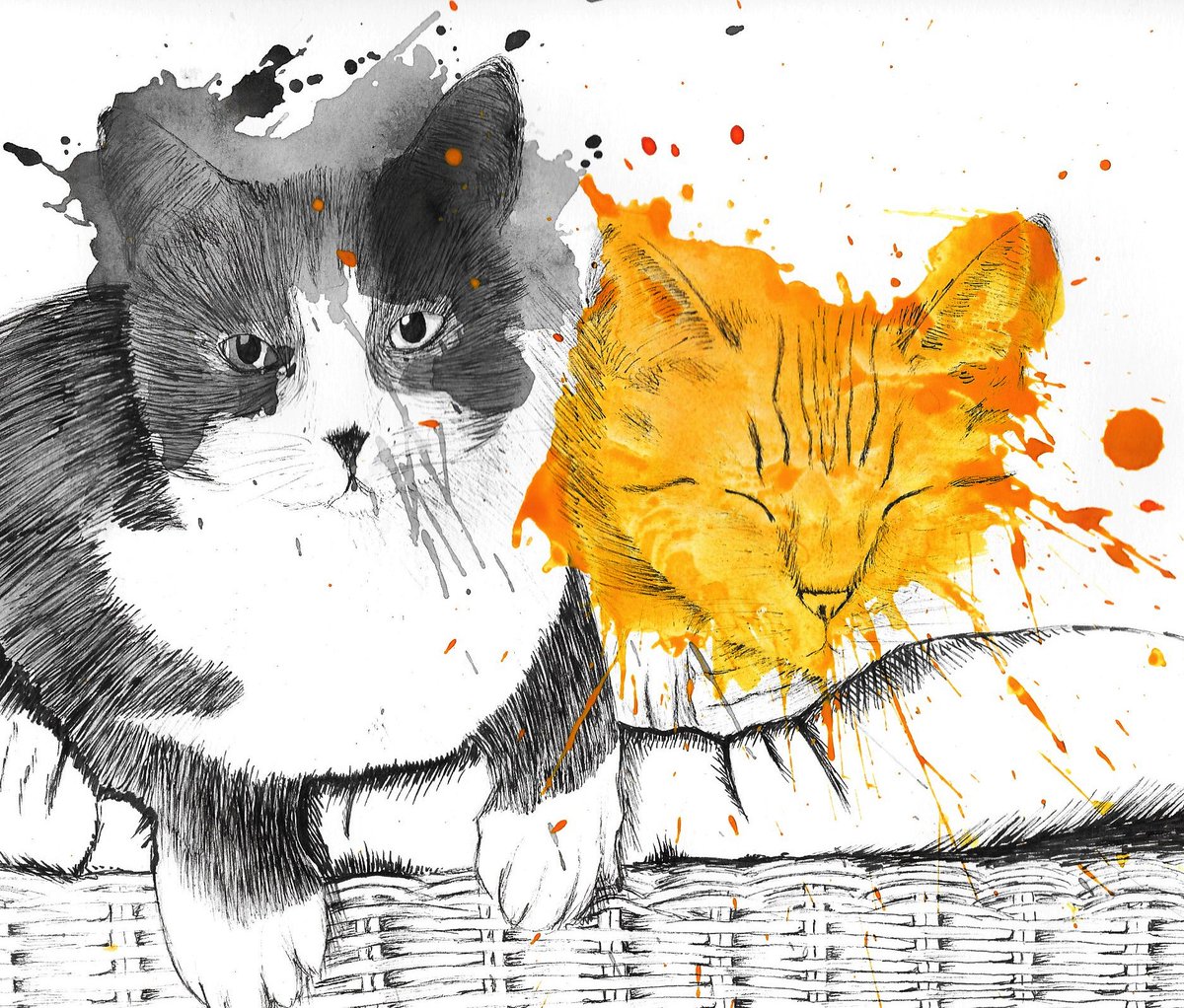 My first commissioned work, of Oreo and Mufasa #catportrait #inkwatercolour