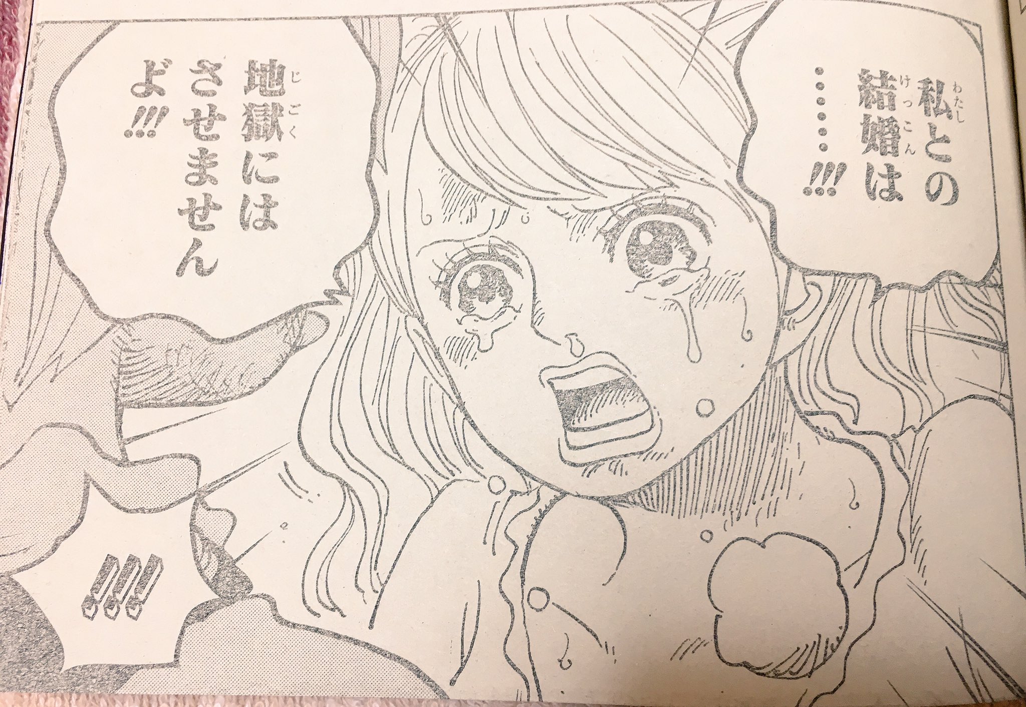 二宮孝太朗 今週のワンピース プリンちゃんがいい子すぎて泣く T Co E6zwagnmfq Twitter