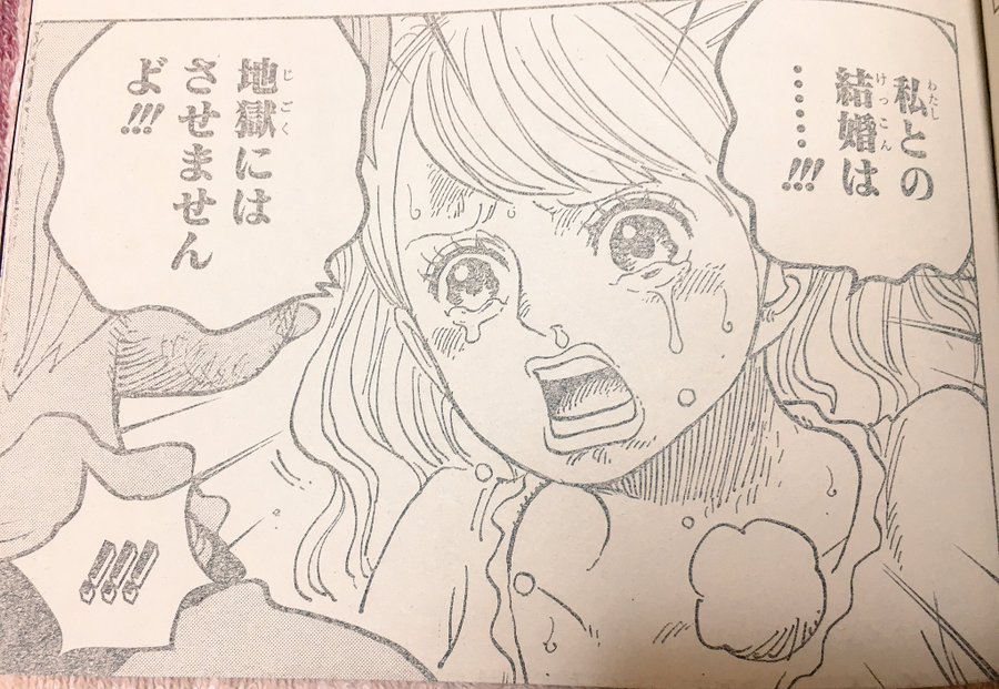 ワンピースプリンの最後のお願いはキス さよならが悲しいと話題に テレビっ子は今日もゆく