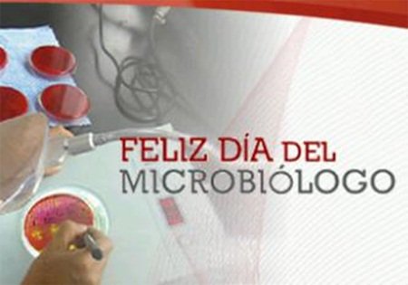 SVM Metropolitano tweet media