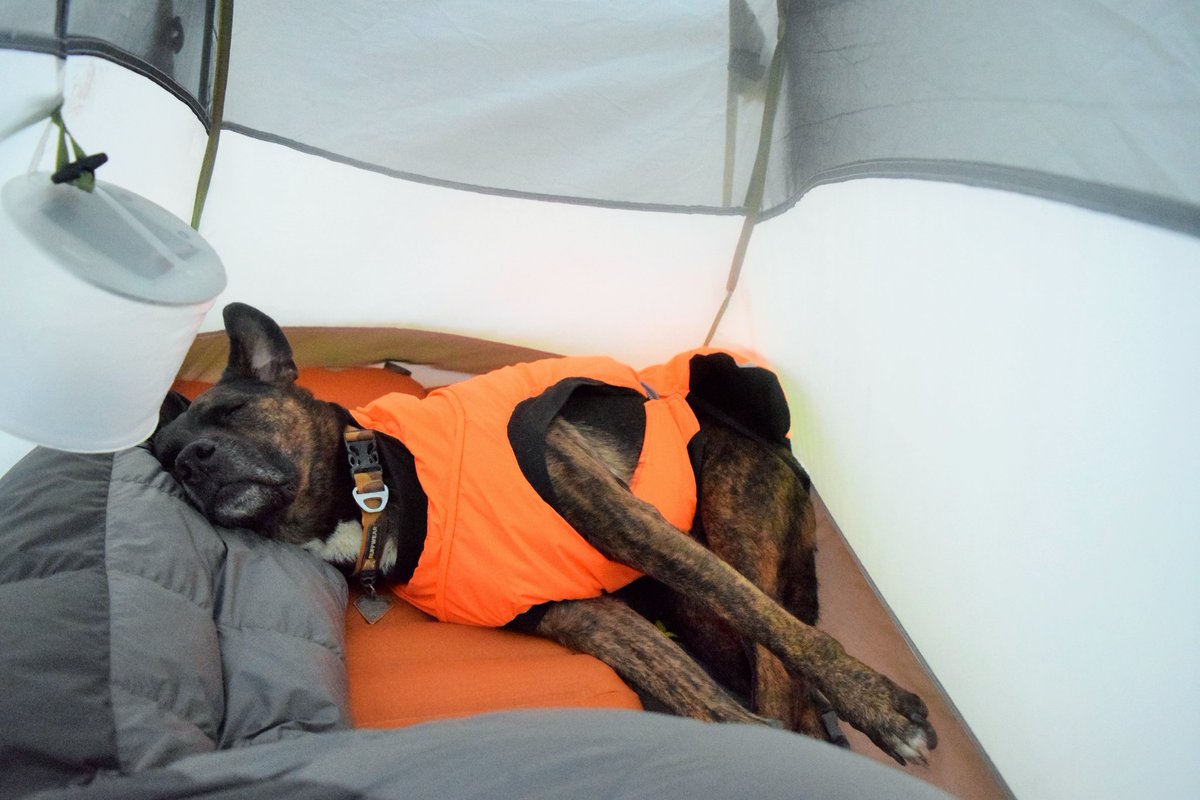 Katie Mogowski tweet media